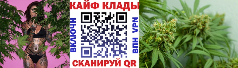 Где купить наркотики Волхов Амфетамин A PVP Меф мяу мяу КОКАИН