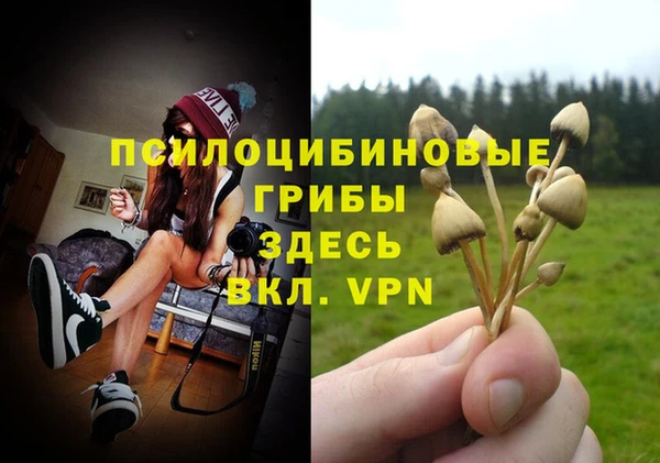 эйфоретик Армянск