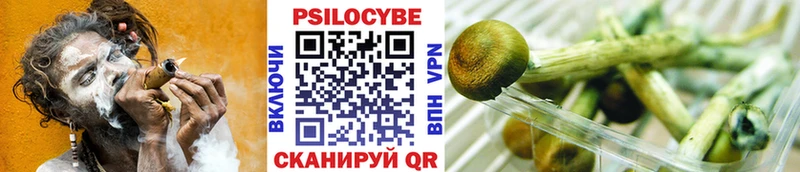 Псилоцибиновые грибы GOLDEN TEACHER  где найти   Волхов 