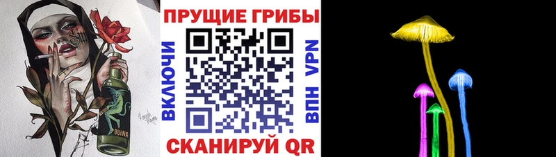Галлюциногенные грибы Psilocybine cubensis Волхов