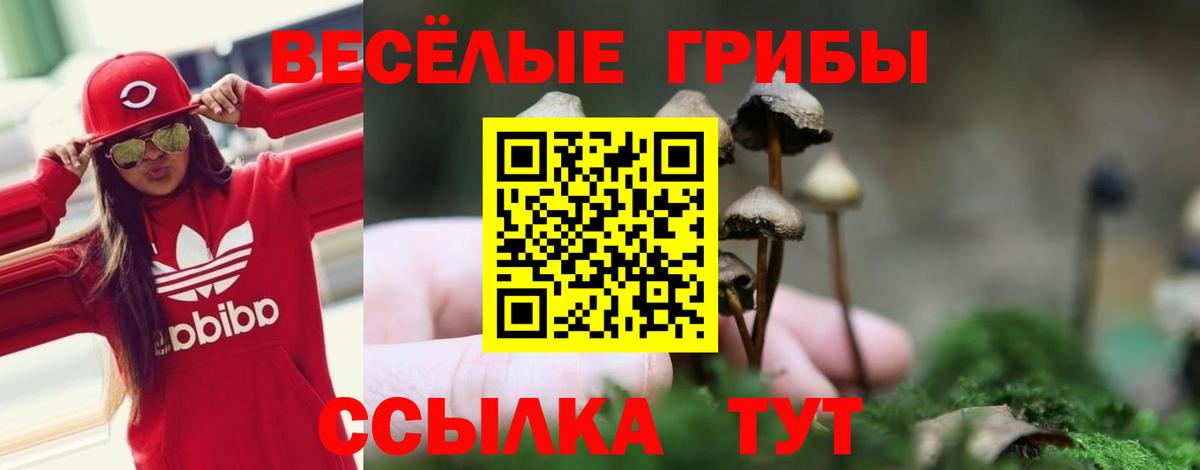 Псилоцибиновые грибы Magic Shrooms  Вход с VPN  наркошоп  Волхов  Псилоцибиновые грибы Psilocybine cubensis 