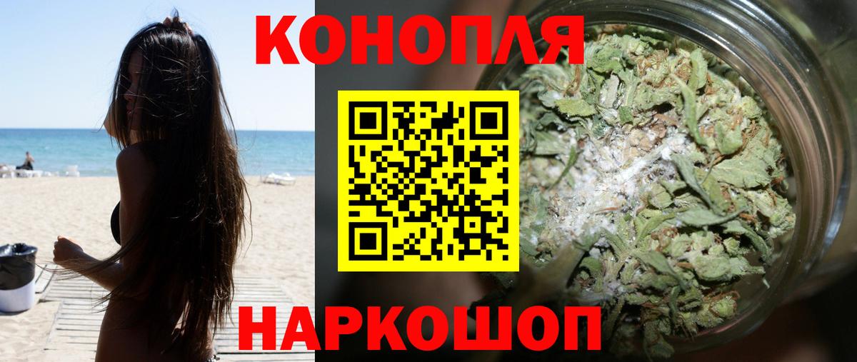 Бошки Шишки сатива Волхов